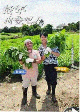 图鉴卡片封面：现场综艺多人对话字幕排布